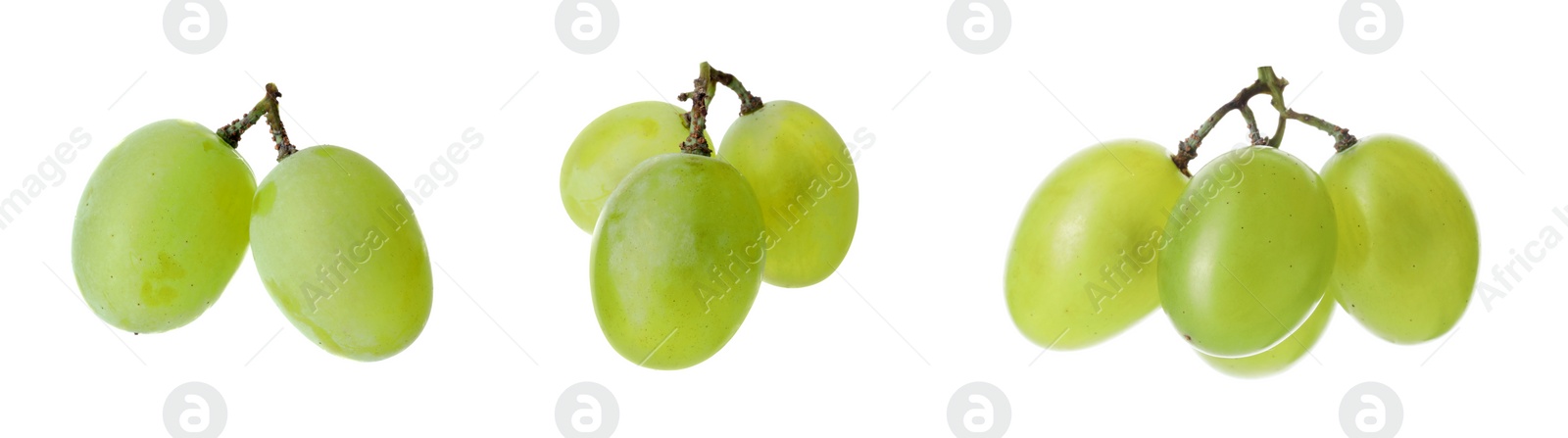 Image of Delicious fresh grapes isolated on white, set