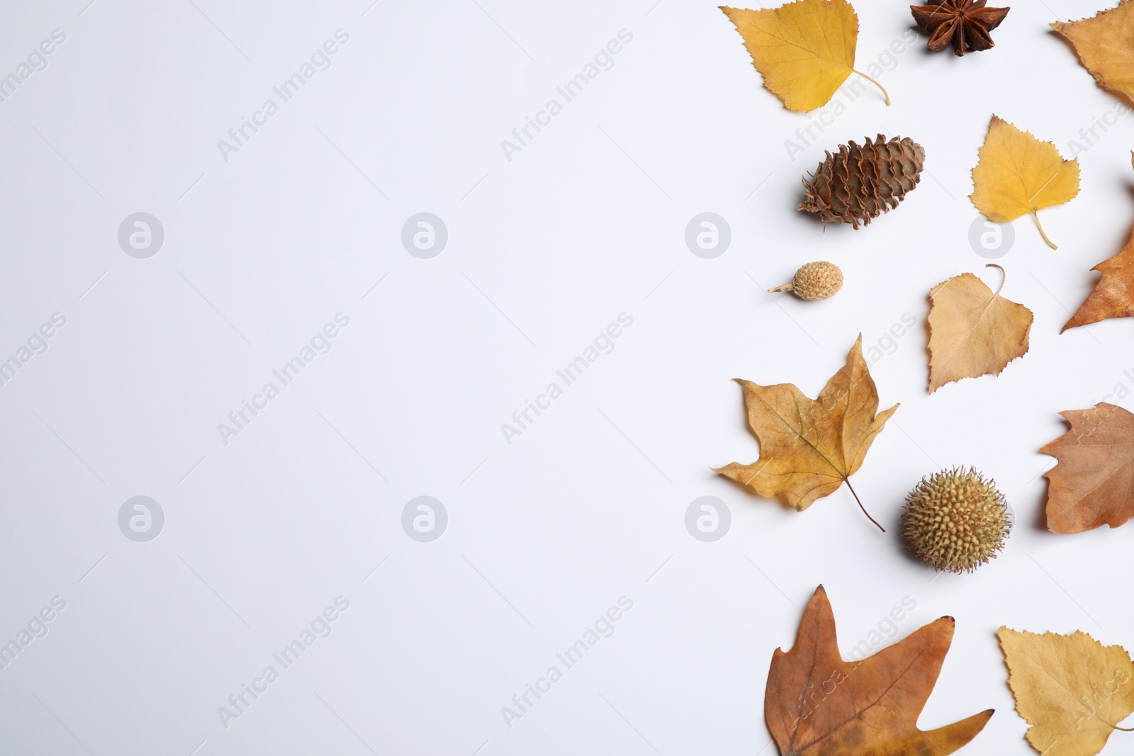 Photo of Flat lay composition with autumn leaves and space for text on white background