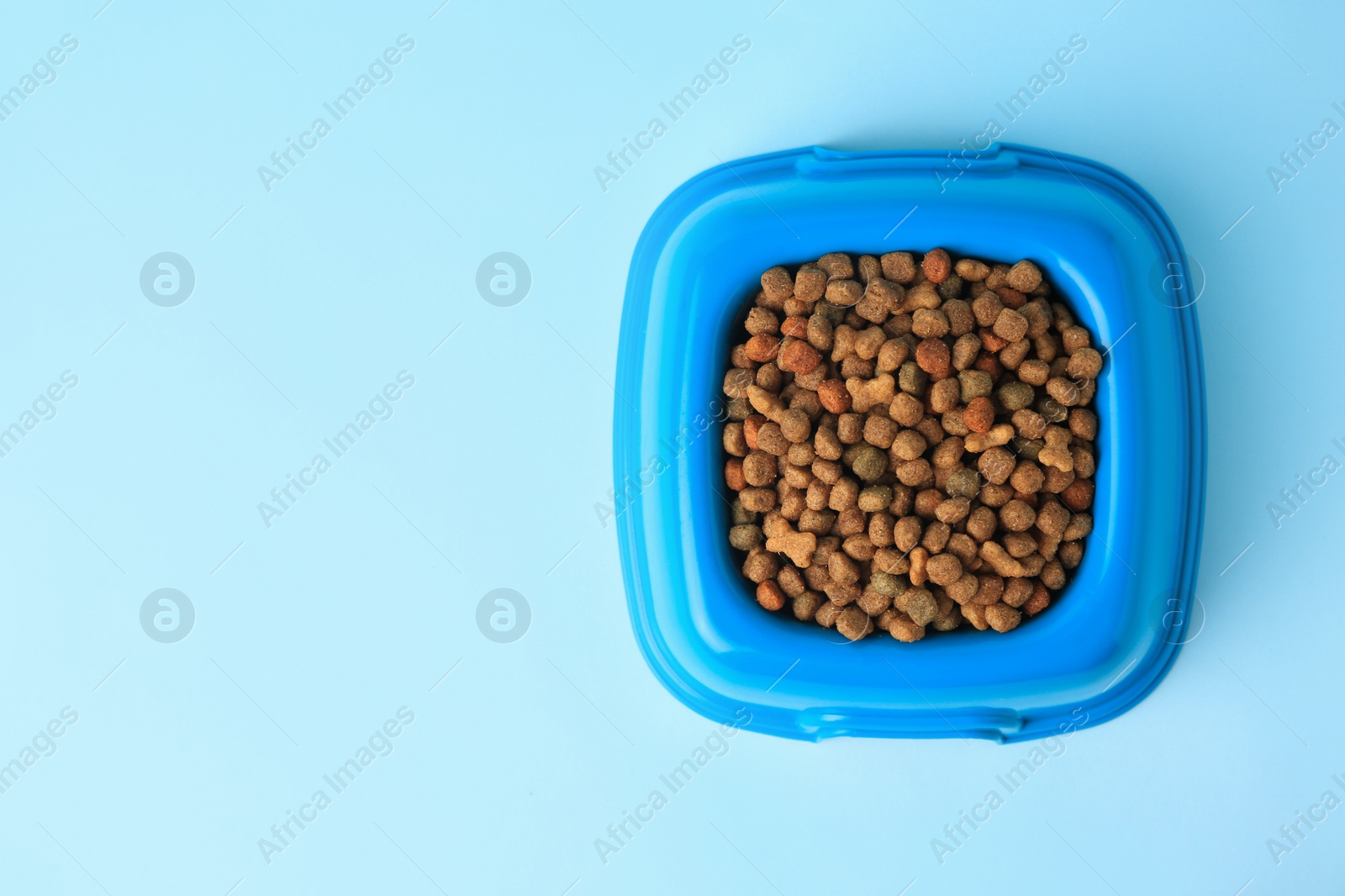 Photo of Dry pet food in feeding bowl on light blue background, top view. Space for text