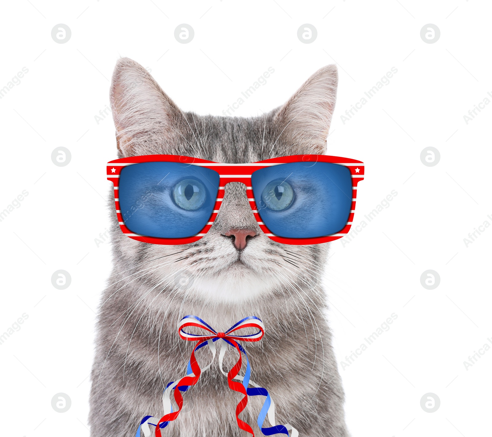 Image of Cute cat with sunglasses and bow on white background. Concept of federal holidays in USA