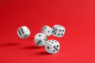 Photo of Many white game dices falling on red background