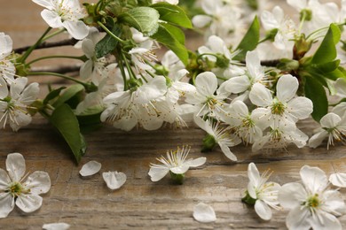 Spring branch with beautiful blossoms, leaves and petals on wooden table, closeup