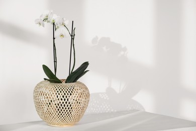 Photo of Blooming orchid flower in pot on white table near wall, space for text