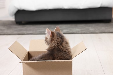 Photo of Cute fluffy cat in cardboard box on floor at home