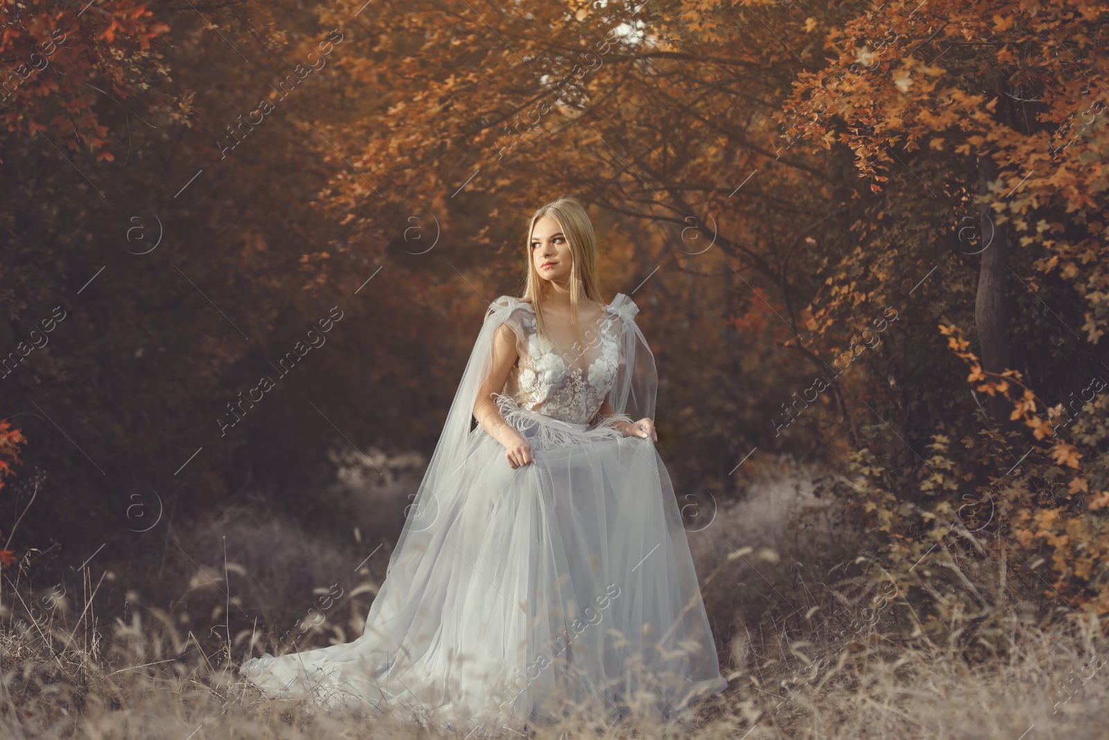 Photo of Beautiful girl wearing fairy dress in autumn forest