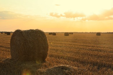 Beautiful view of agricultural field with hay bales