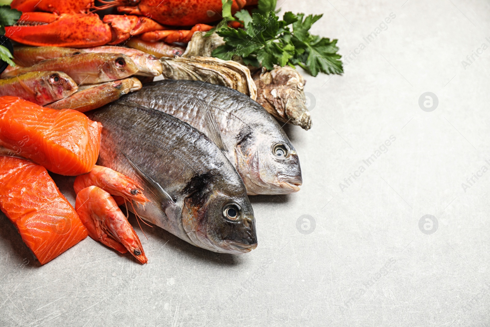 Photo of Fresh raw fish and different seafood on light grey table. Space for text