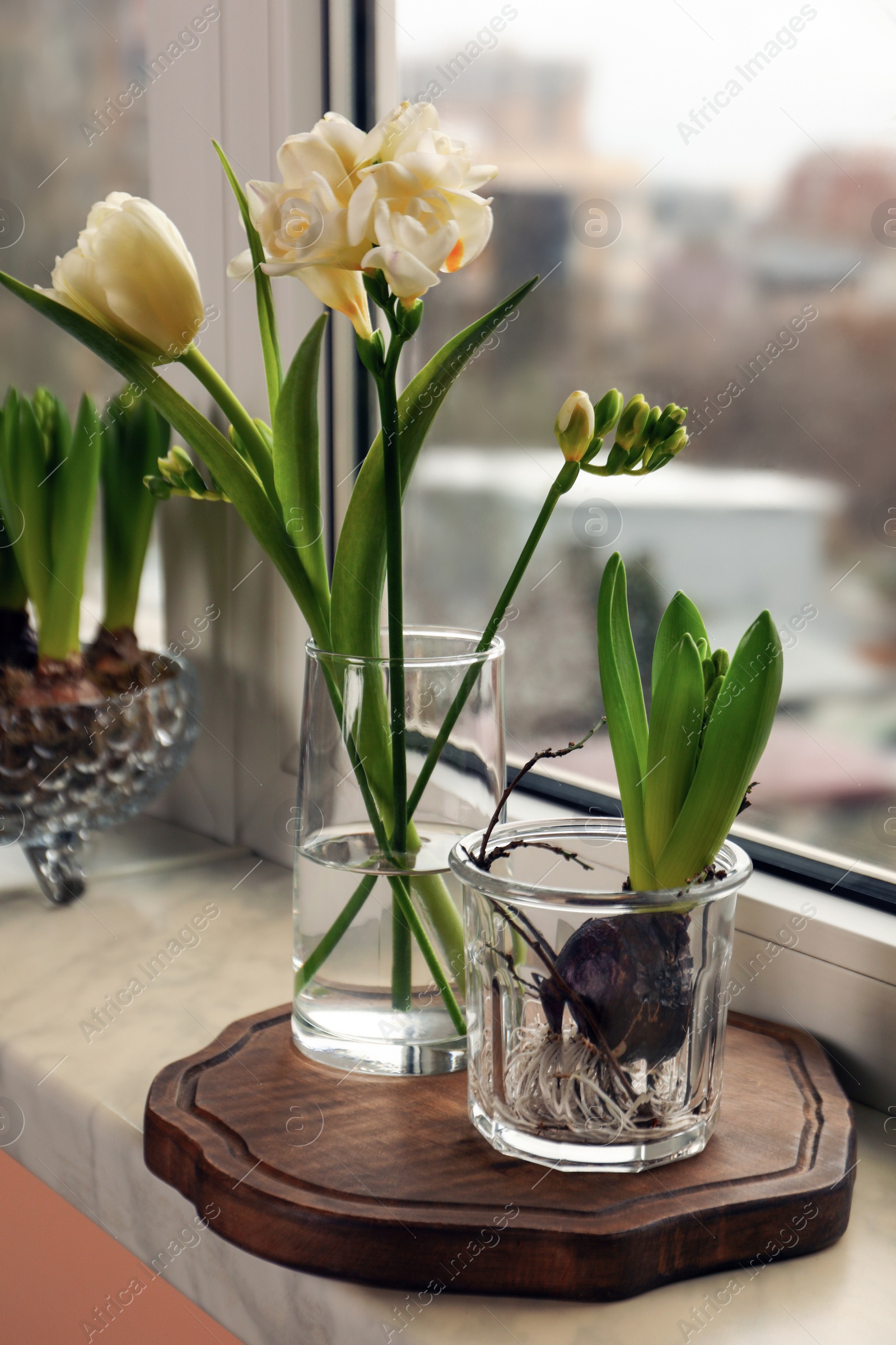 Photo of Different beautiful spring flowers on windowsill indoors