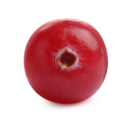 One fresh ripe cranberry isolated on white