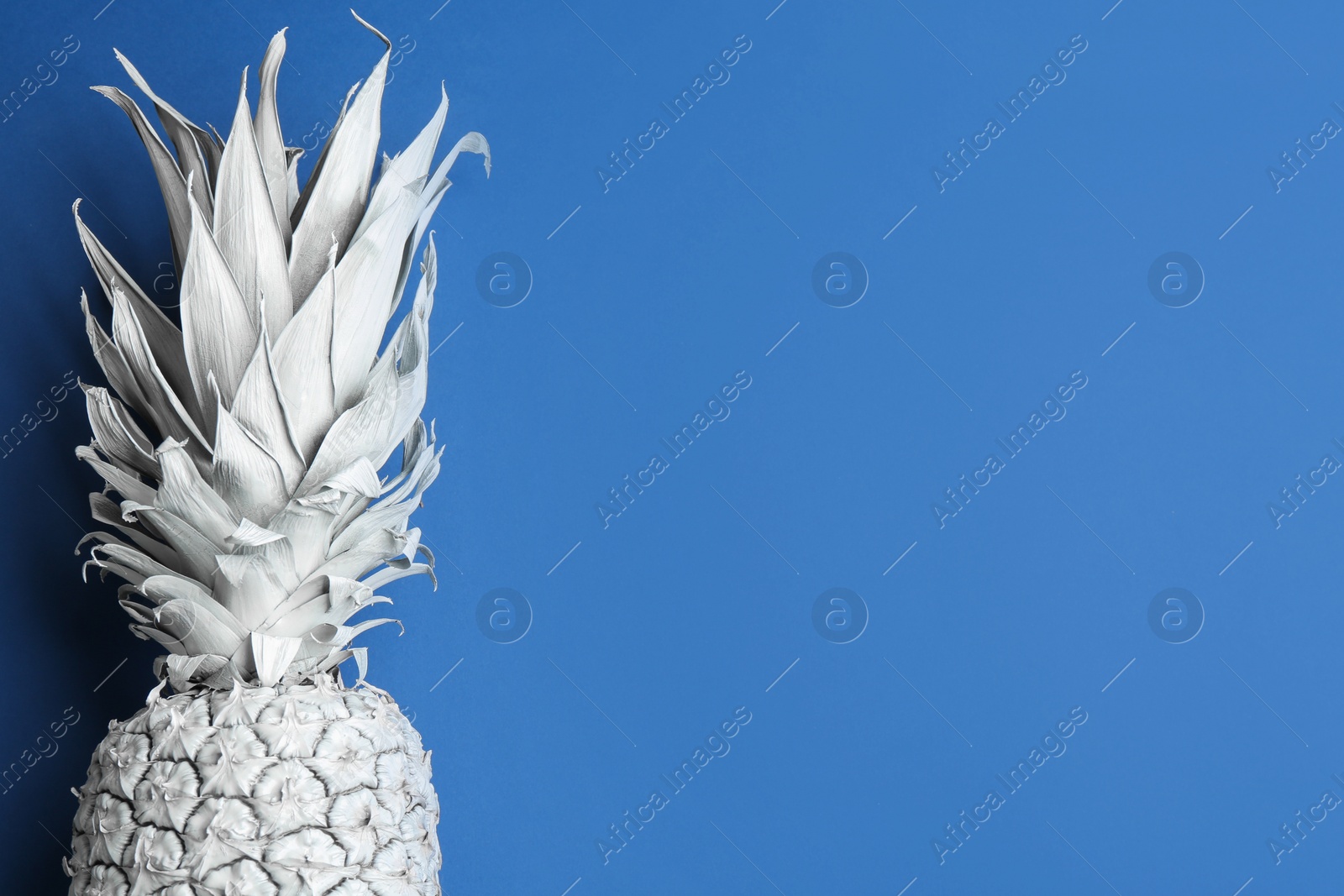 Photo of White pineapple on blue background, top view with space for text. Creative concept