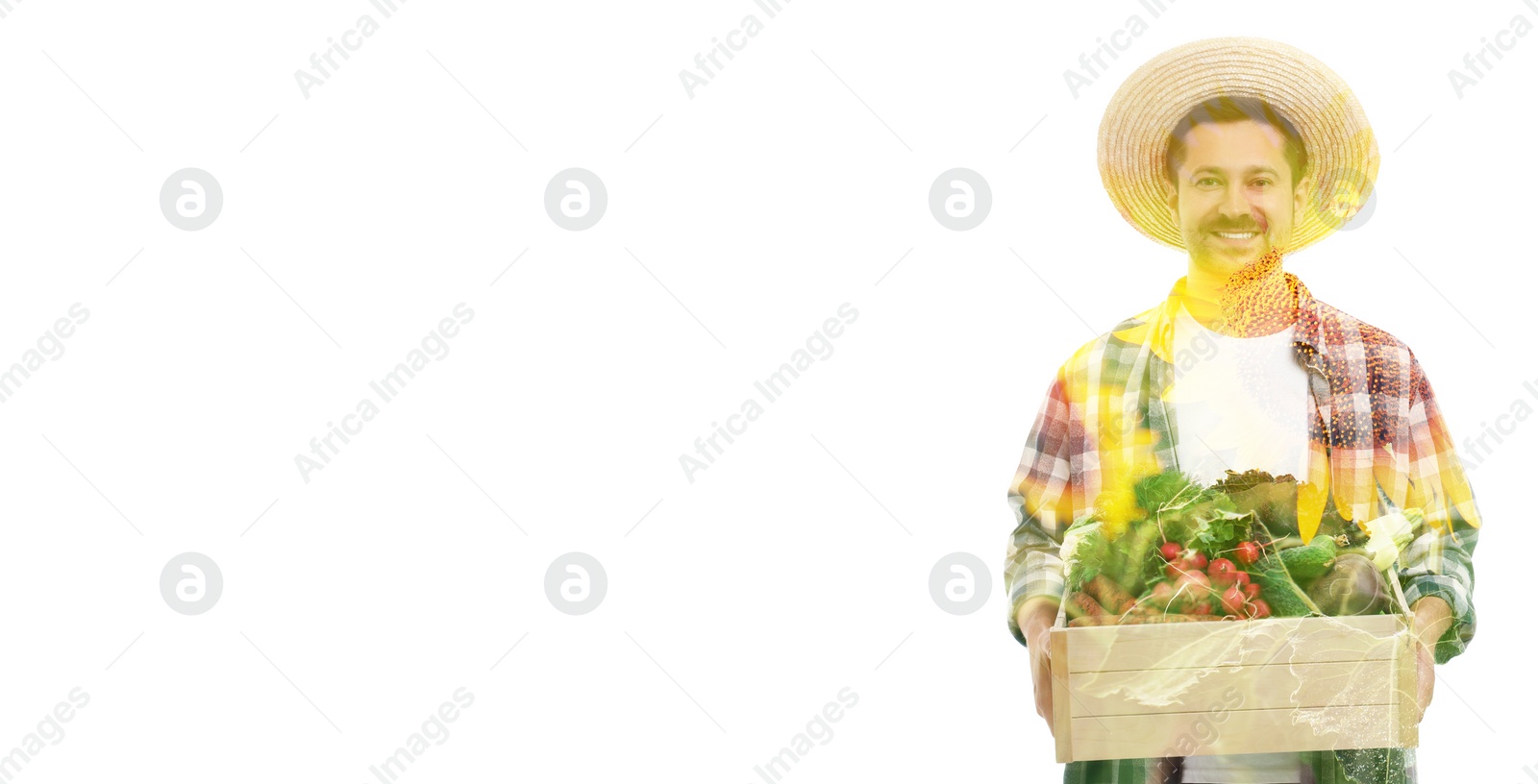 Image of Double exposure of happy farmer and sunflower field on white background