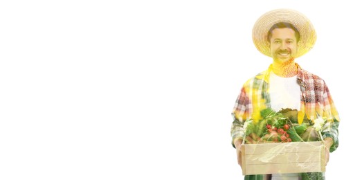 Double exposure of happy farmer and sunflower field on white background