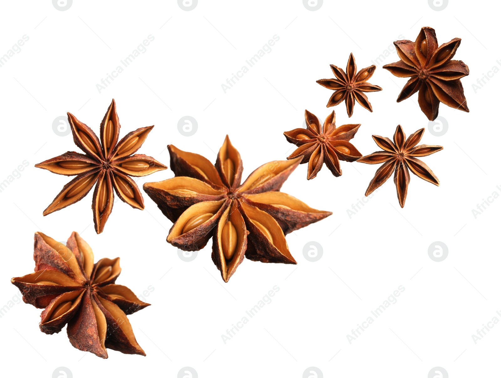 Image of Dry aromatic anise stars falling on white background