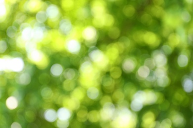 Photo of Blurred view of abstract green background. Bokeh effect