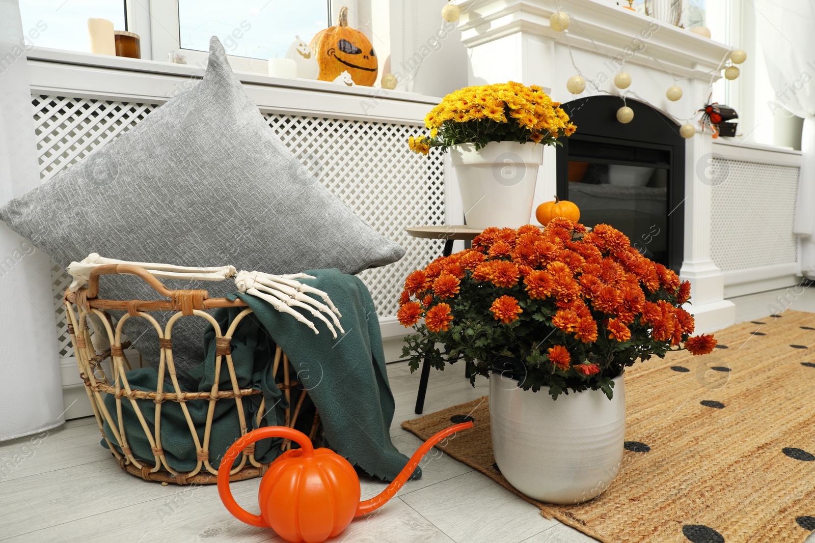 Photo of Pumpkin shaped watering can and flowers on floor in room. Halloween decor