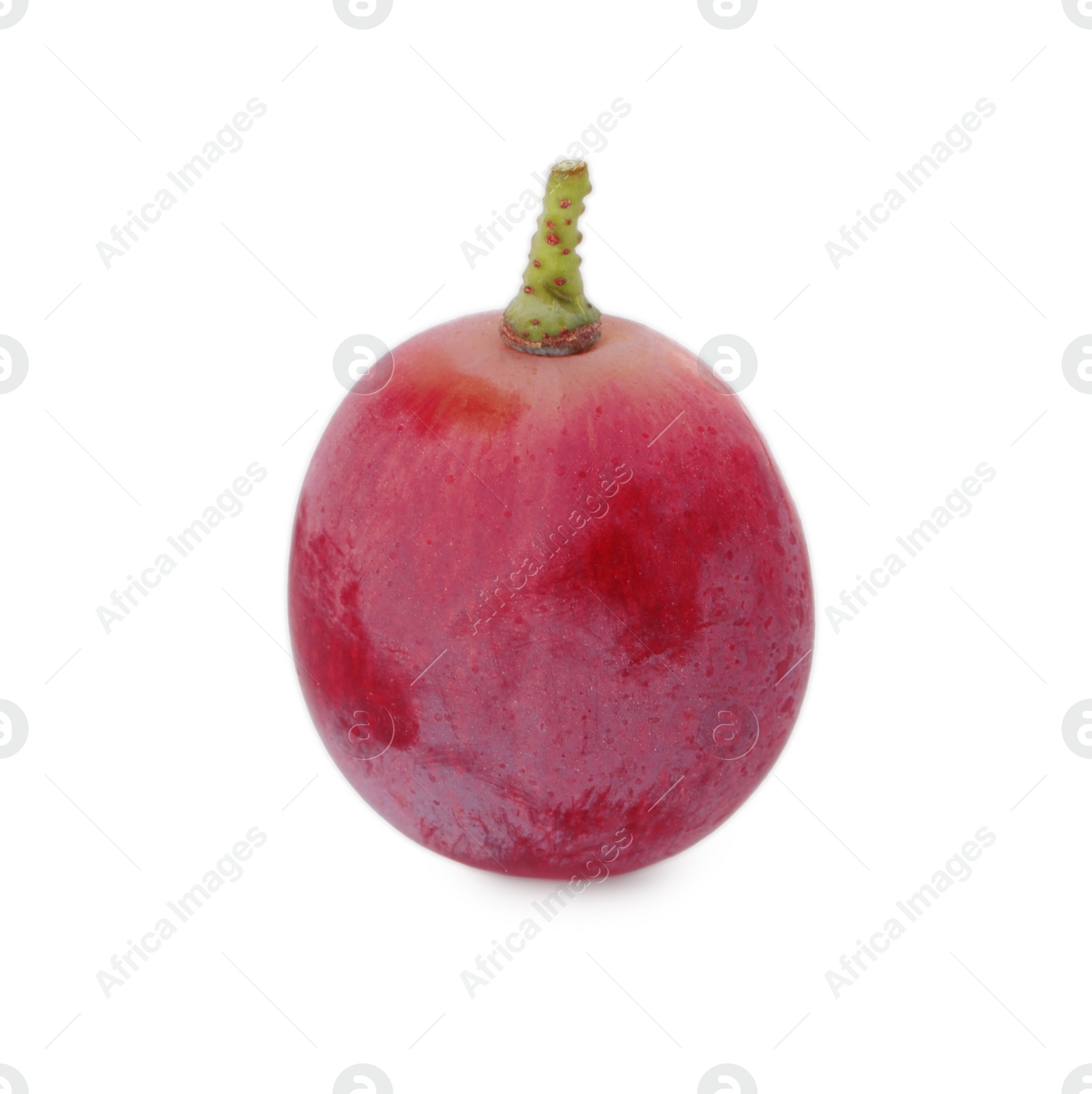 Photo of One ripe red grape isolated on white