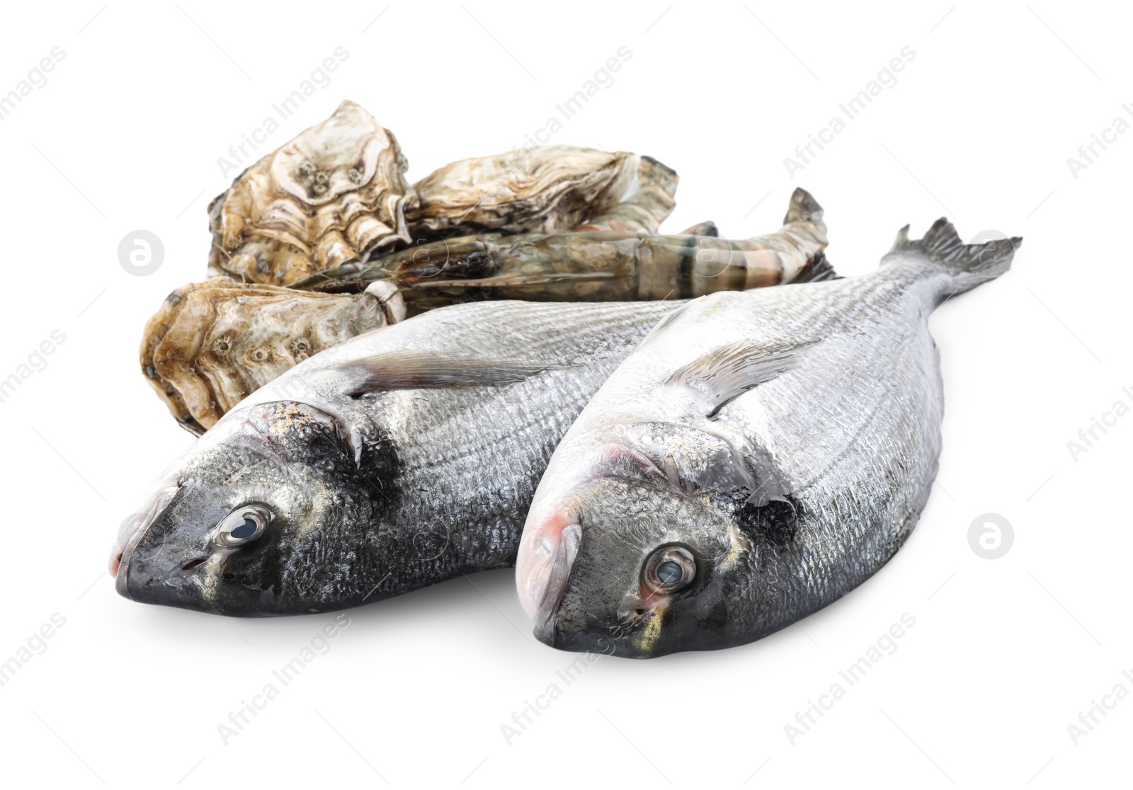 Photo of Fresh dorado fish, oysters and shrimps on white background