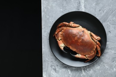Photo of Delicious boiled crab on grey textured table, top view. Space for text