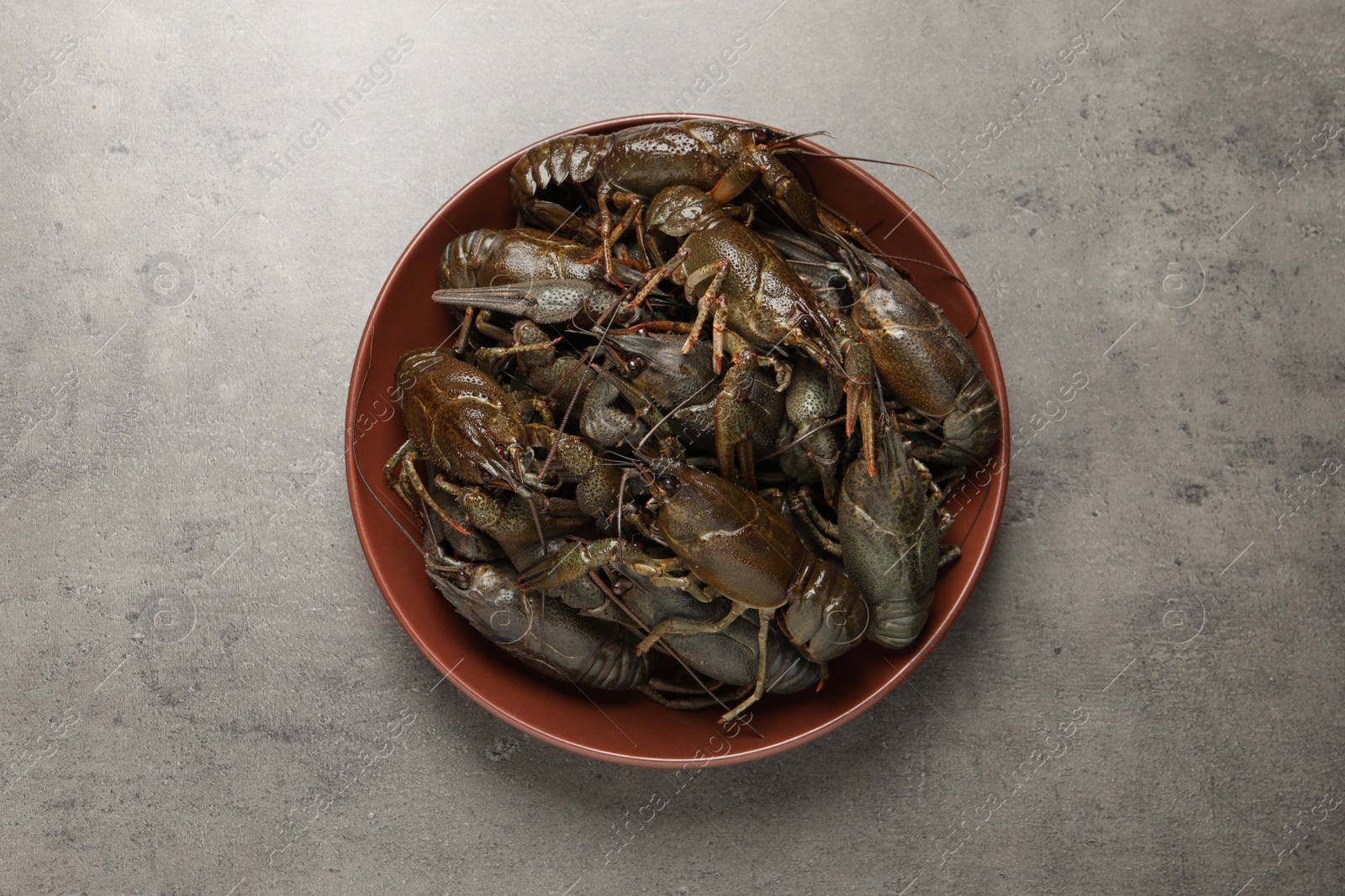 Photo of Fresh raw crayfishes in bowl on grey table, top view