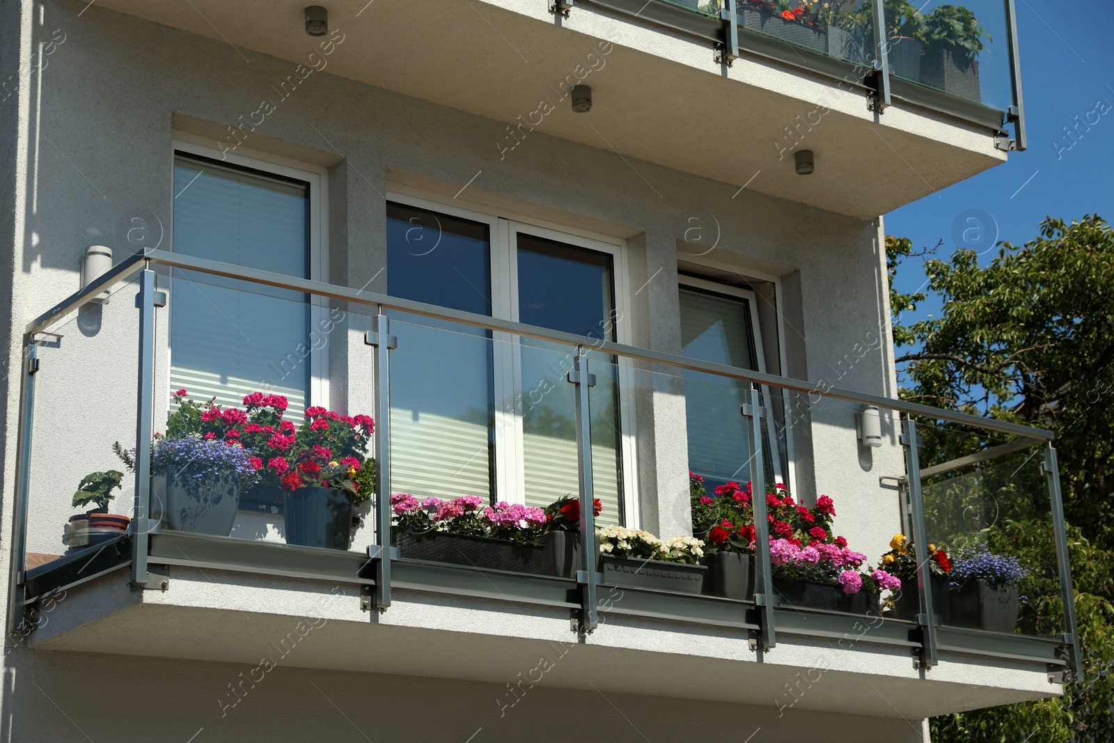 Photo of Balconies decorated with beautiful blooming potted flowers