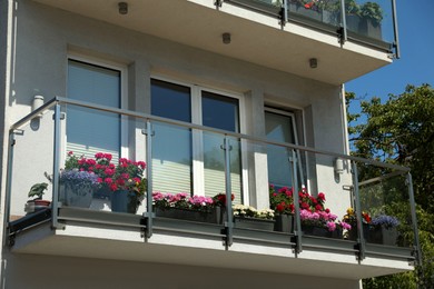 Balconies decorated with beautiful blooming potted flowers