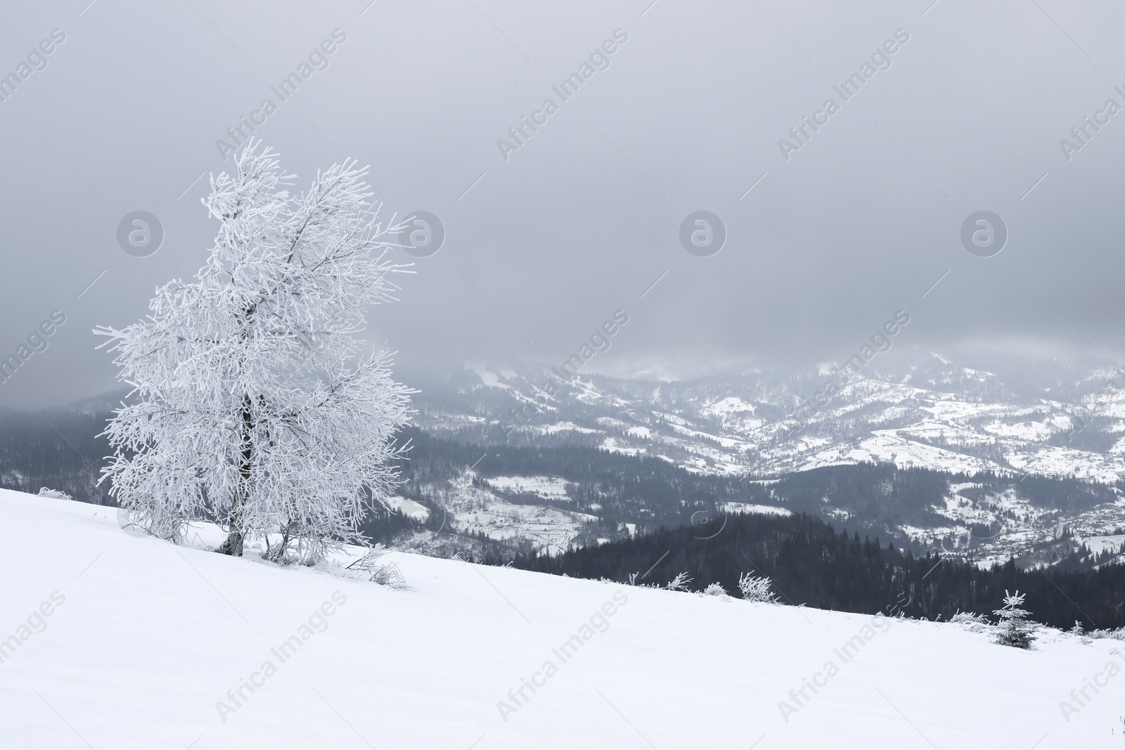 Photo of Picturesque mountain landscape with snowy hills on winter day