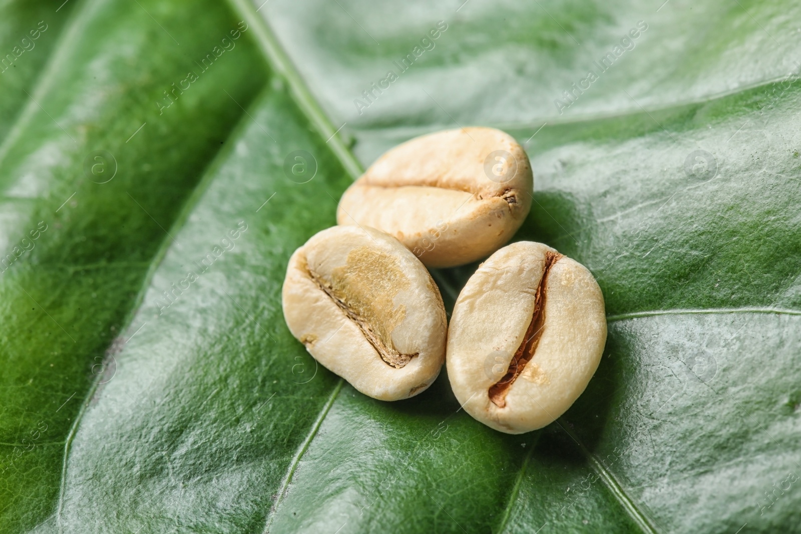 Photo of Green coffee beans on fresh leaf, top view