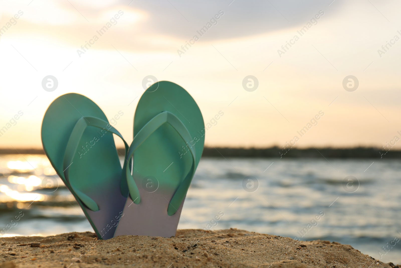 Photo of Stylish flip flops on sand near sea, space for text. Beach accessories