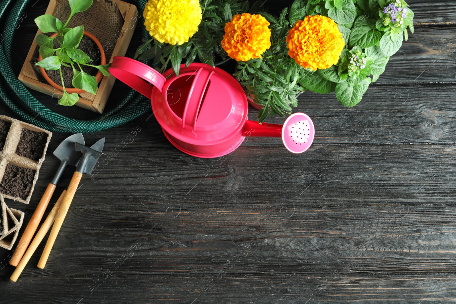 Photo of Flat lay composition with gardening tools and plants on wooden background