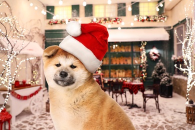 Image of Cute Akita Inu puppy with Santa hat and outdoor cafe decorated for Christmas on background. Lovely dog