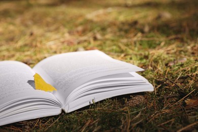 Open book and yellow leaf on grass outdoors
