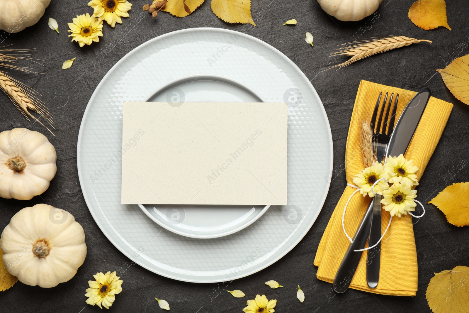 Photo of Festive table setting with pumpkins and flowers on black background, flat lay. Thanksgiving Day celebration