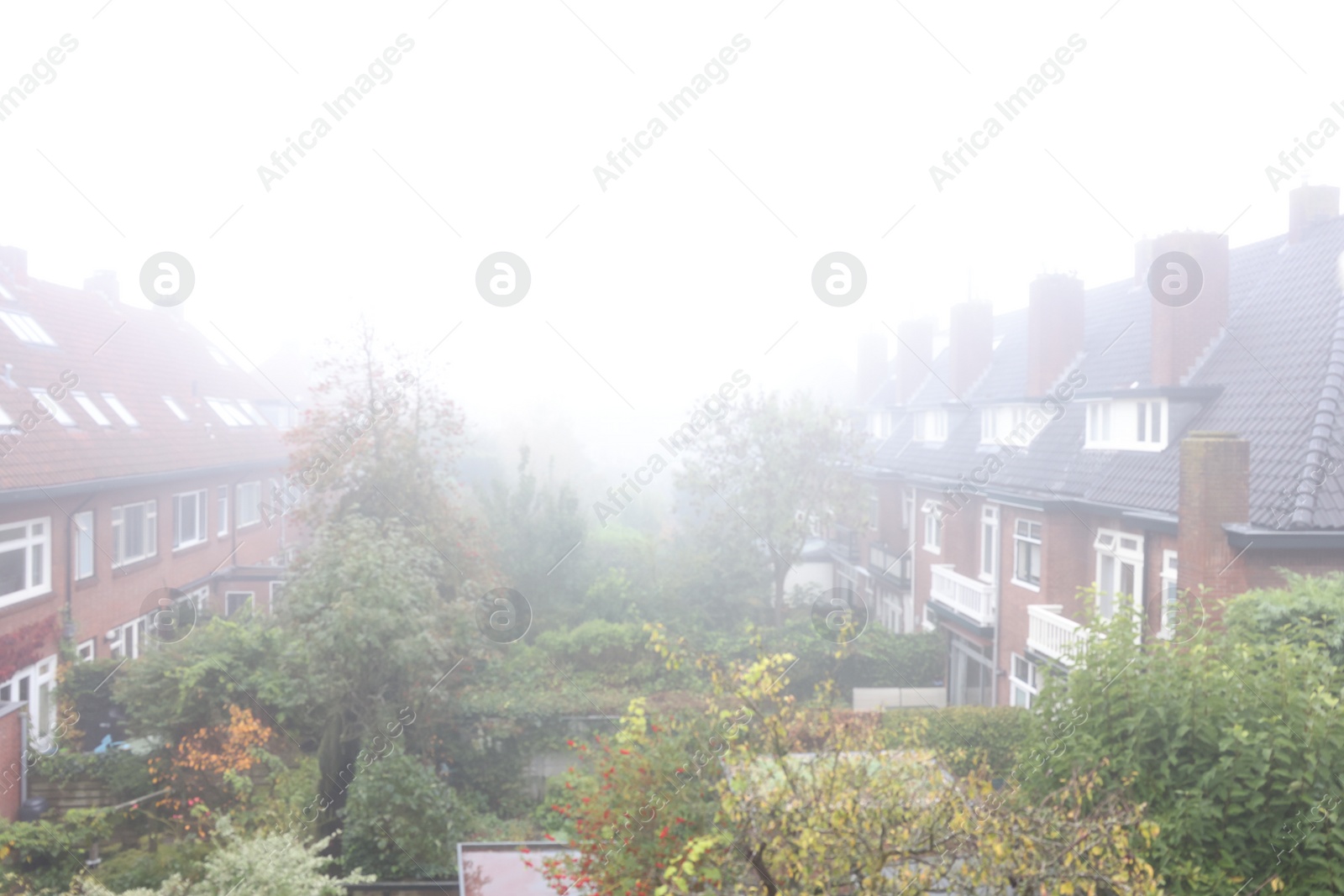 Photo of Beautiful buildings and trees in fog outdoors