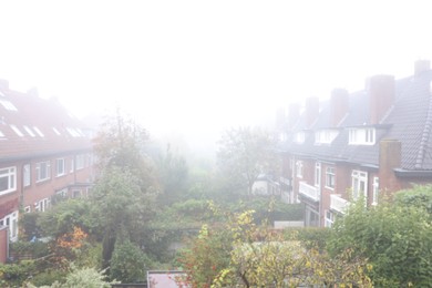 Beautiful buildings and trees in fog outdoors