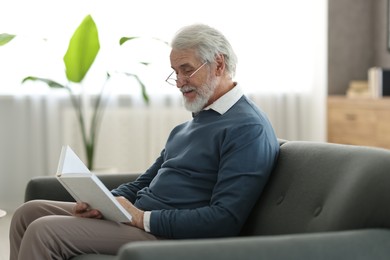 Portrait of happy grandpa reading book on sofa indoors