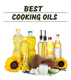 Image of Best for cooking. Different oils and ingredients on white background