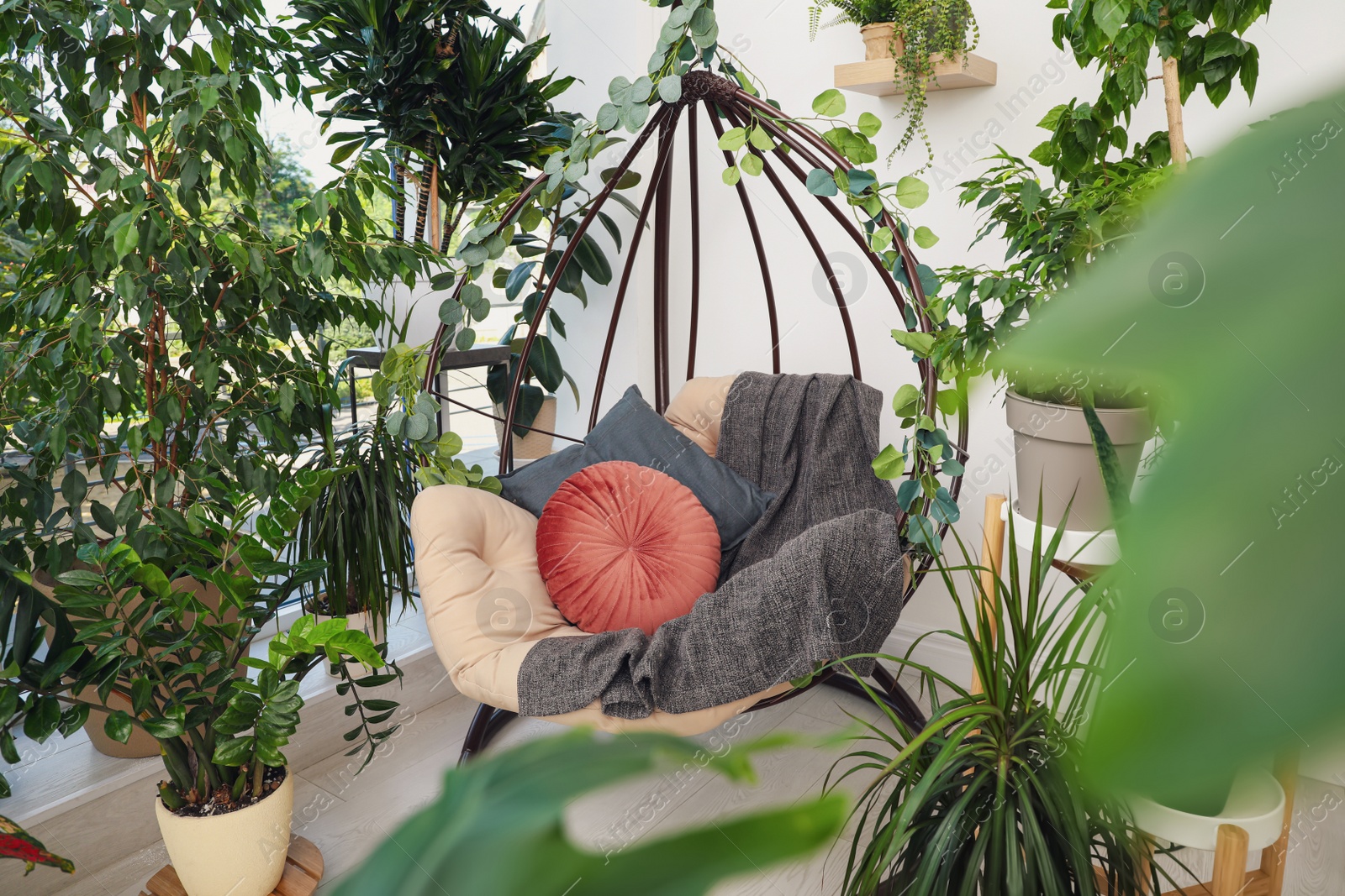 Photo of Comfortable egg chair and beautiful houseplants in room. Lounge zone interior