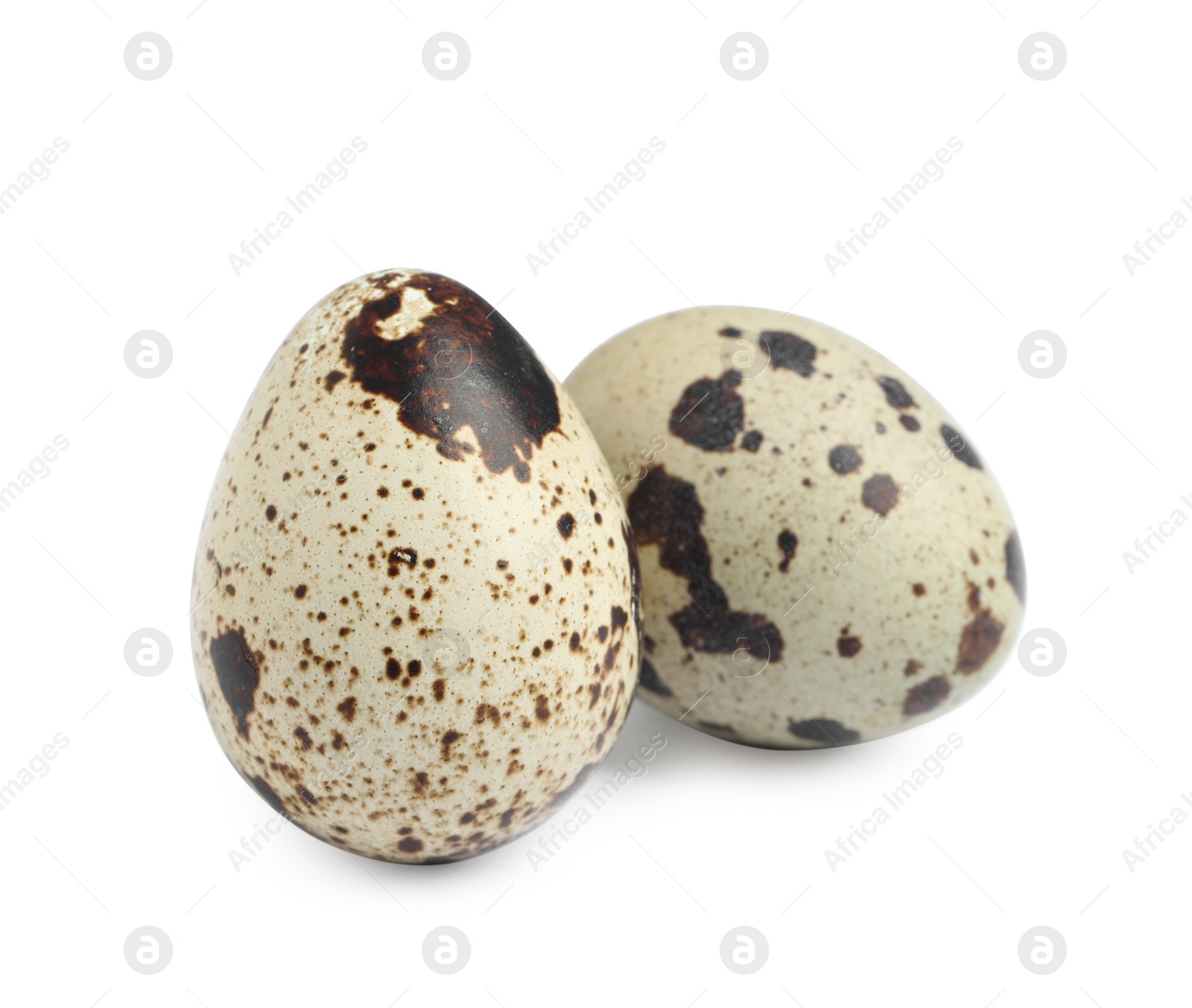 Photo of Two beautiful quail eggs on white background