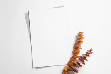 Empty sheet of paper and dry decorative leaves on white background, flat lay. Mockup for design