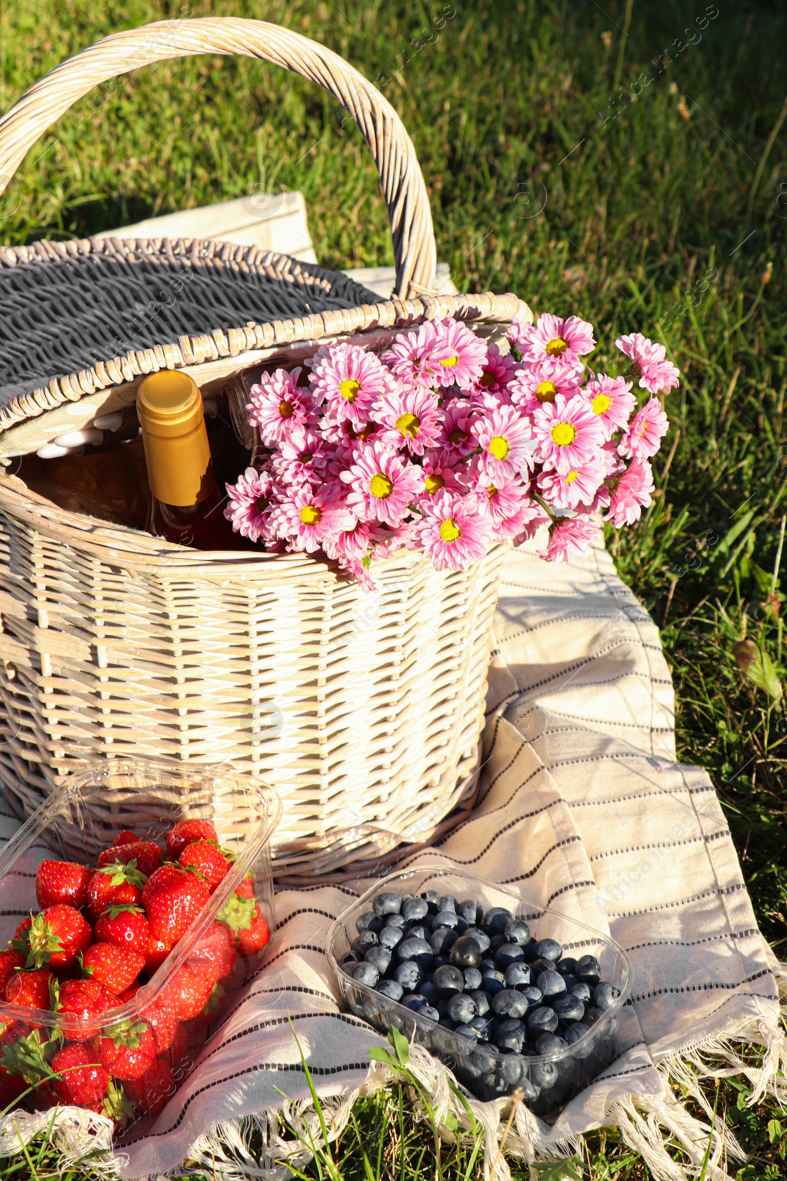 Photo of Picnic basket with flowers, bottle of wine and berries on blanket outdoors