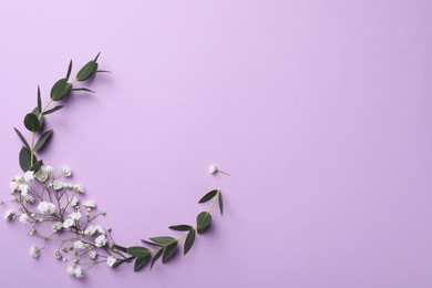 Photo of Beautiful gypsophila flowers and eucalyptus branches on violet background, flat lay. Space for text