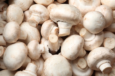 Fresh champignon mushrooms as background, top view