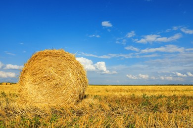 Beautiful view of agricultural field with hay bale