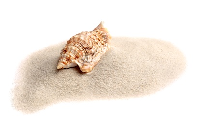 Photo of Pile of beach sand with sea shell isolated on white