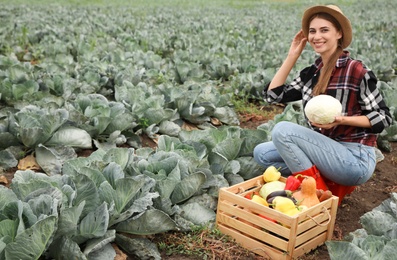 Photo of Farmer with cabbage in field. Harvesting time