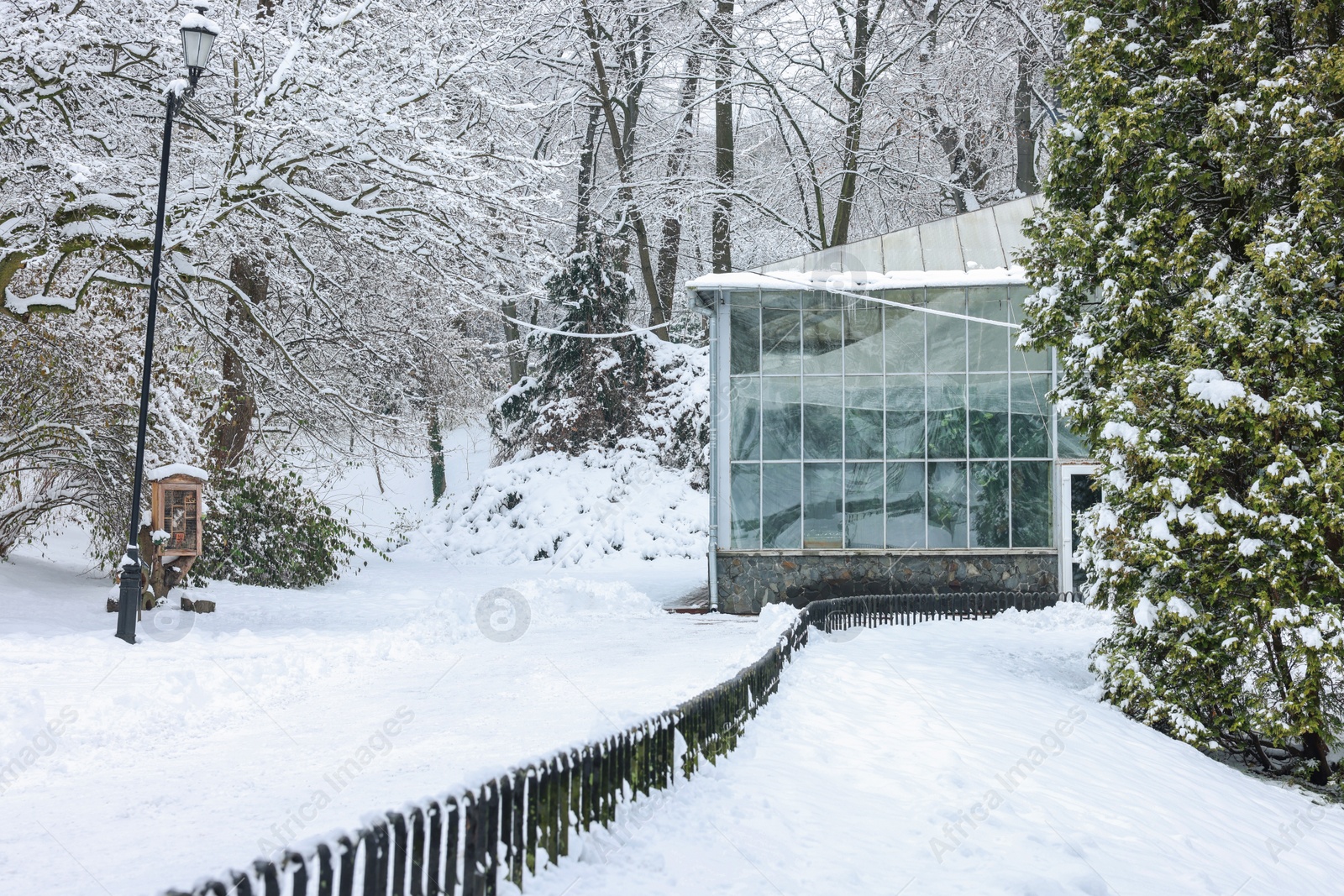 Photo of Trees covered with snow and building in winter park