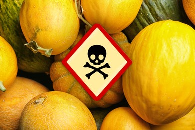 Skull and crossbones sign on ripe melons, top view. Be careful - toxic