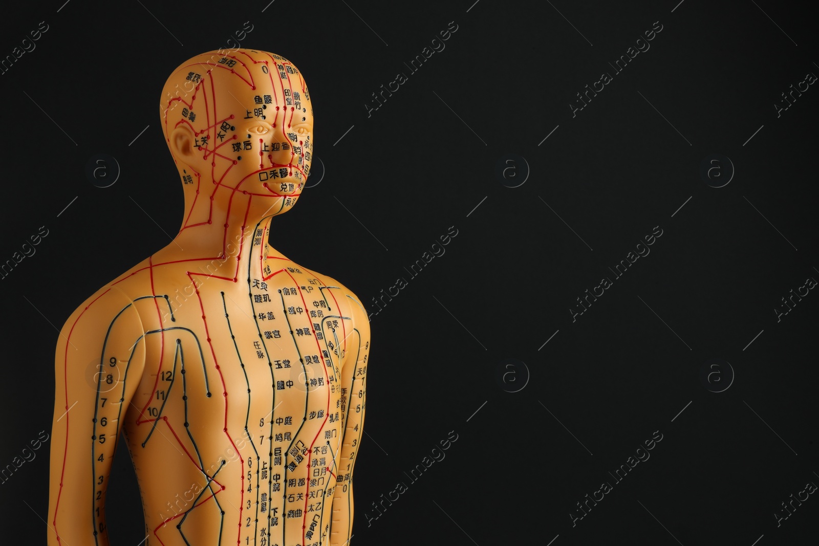 Photo of Acupuncture model. Mannequin with dots and lines on black background, space for text