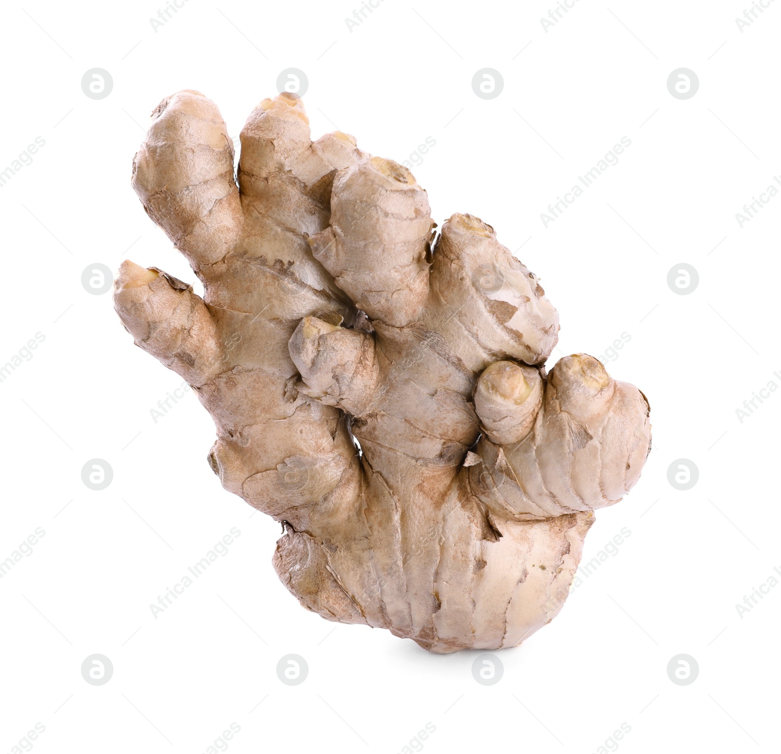 Photo of Whole fresh ginger root isolated on white