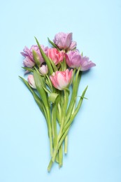 Beautiful colorful tulip flowers on light blue background, top view